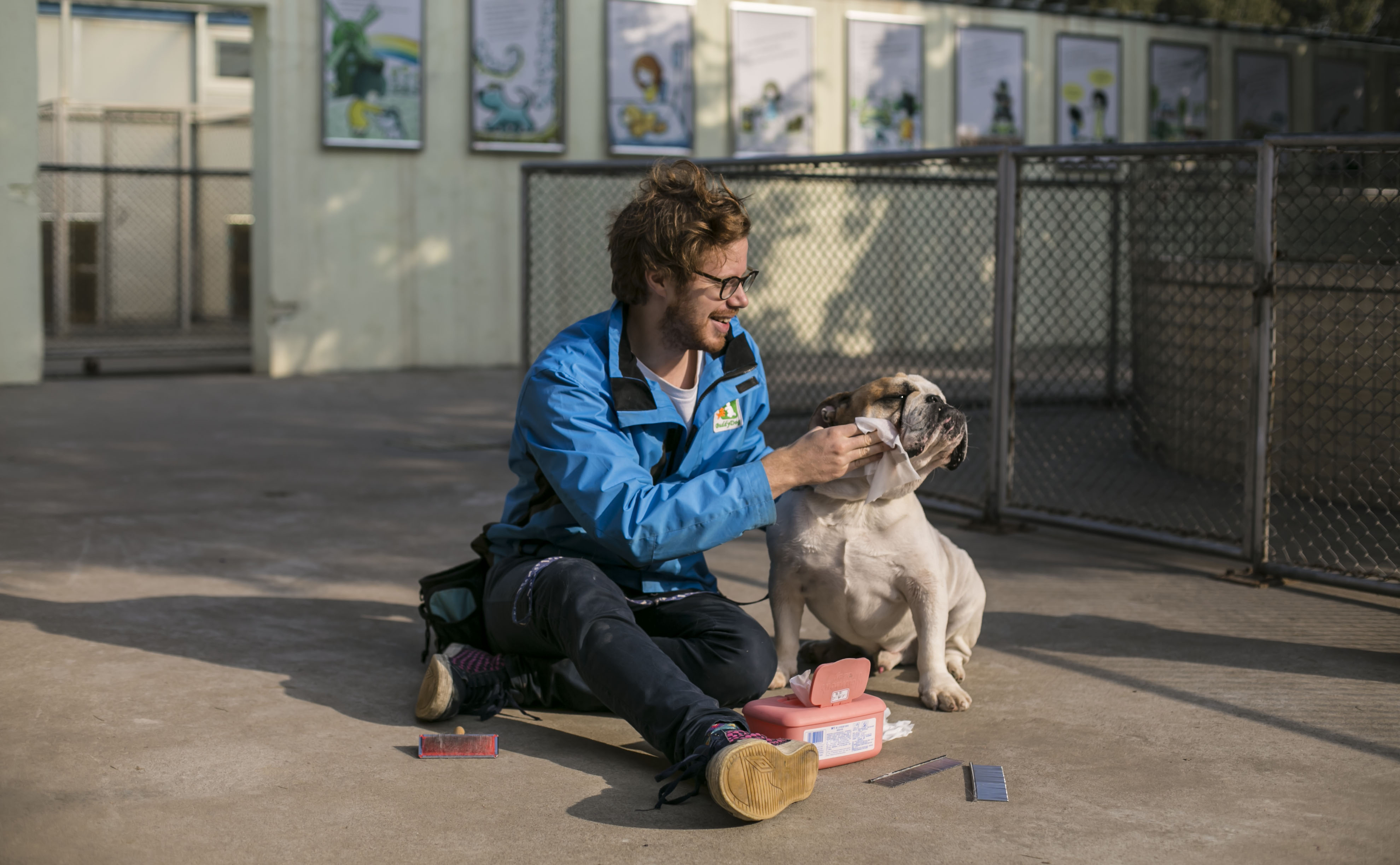 Inside job: Dog carer