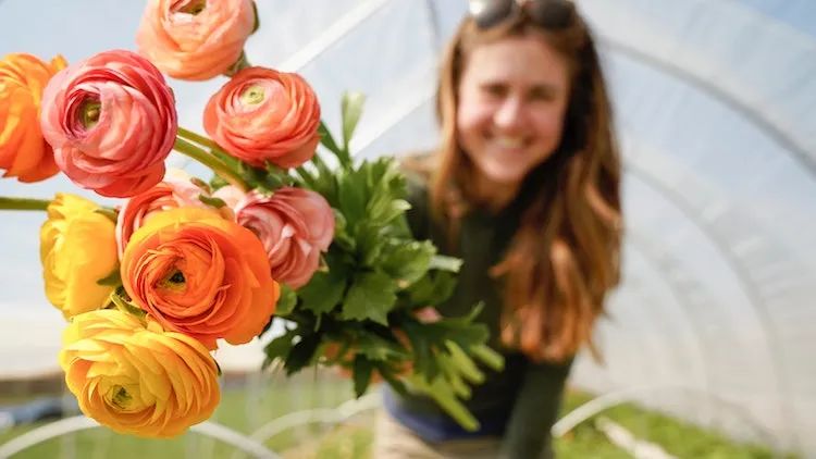 Where to buy flowers for your mum (and anyone else you love)